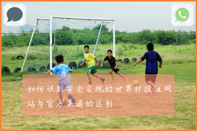 如何识别安全合规的世界杯投注网站与官方渠道的区别
