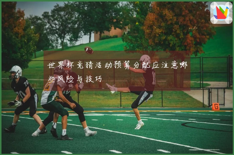 世界杯竞猜活动预算分配应注意哪些风险与技巧